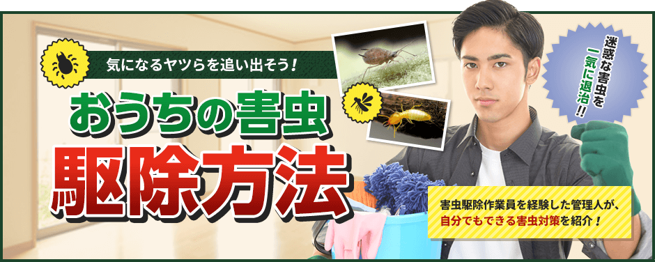 迷惑なヤツらを追い出そう！おうちの害虫駆除方法。害虫駆除を経験した管理人が自分でもできる害虫対策を紹介します